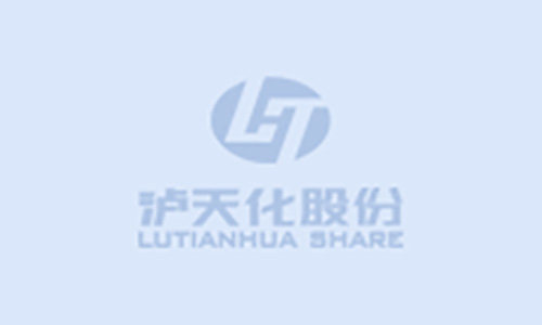 2024年四川瀘天化股份有限公司環(huán)境、社會與治理（ESG）報告