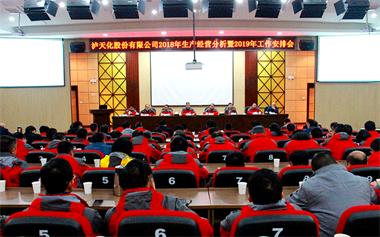 瀘天化股份公司召開2018年生產(chǎn)經(jīng)營分析暨2019年工作安排會(huì)