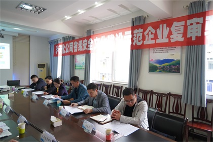 瀘天化股份公司通過“省級安全文化建設(shè)示范企業(yè)”復(fù)審驗(yàn)收現(xiàn)場審核