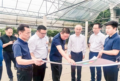 瀘州市委常委、組織部長曹斌率隊調(diào)研瀘天化納溪現(xiàn)代農(nóng)業(yè)種植園項目